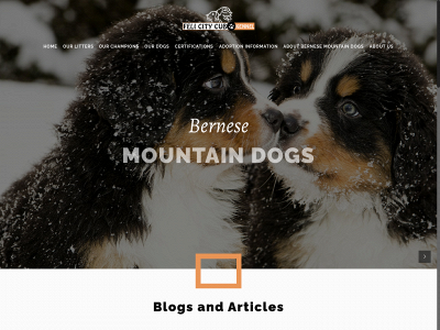 felicitycubkennel.com snapshot