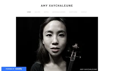 www.amyxviolin.com snapshot