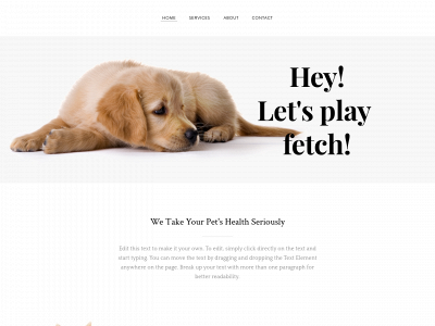 gonintend123.weebly.com snapshot