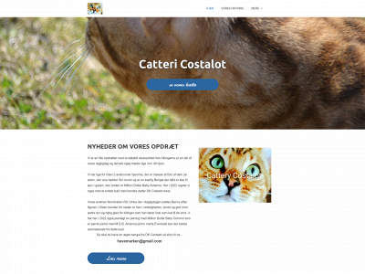 costalot.dk snapshot