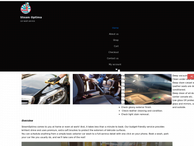 steamoptima.com snapshot