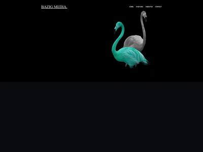 bazigmedia.nl snapshot