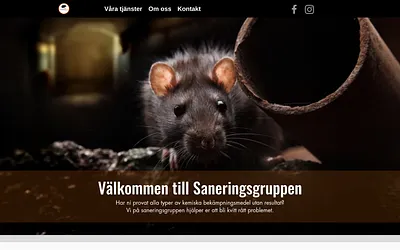 saneringsgruppen.se snapshot