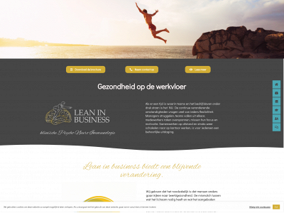 leaninbusiness.com snapshot