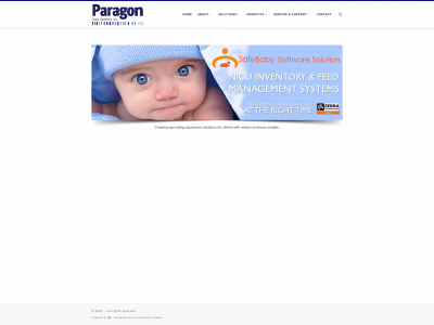 paragondsi.com snapshot