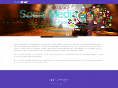 sociallogout.com snapshot
