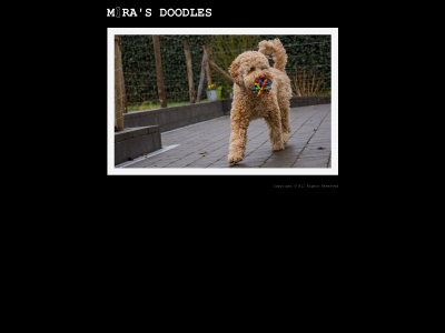 mirasdoodles.be snapshot