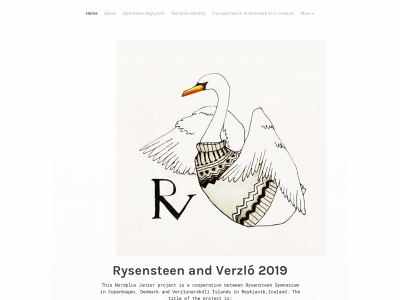 rysvi2019.weebly.com snapshot