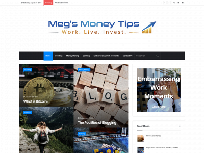 megsmoneytips.com snapshot