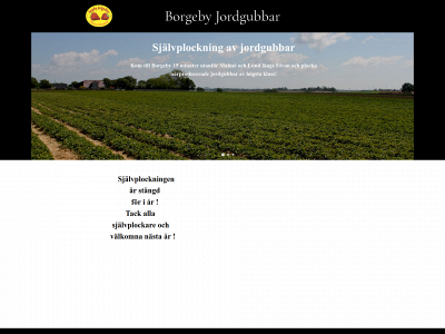 borgebyjordgubbar.se snapshot