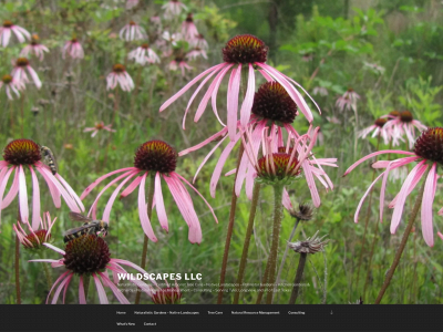 nativewildscapes.com snapshot