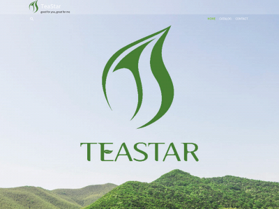 ascendteaus.com snapshot
