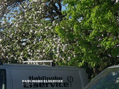hablingboelservice.se snapshot