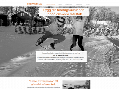 teamoss.se snapshot