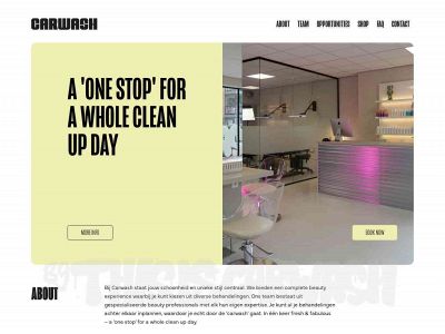 bycarwash.com snapshot