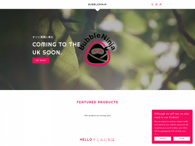 bubbleninja.co.uk snapshot