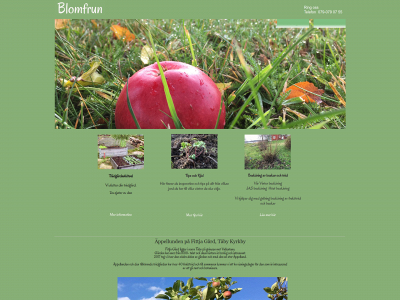 blomfrun.se snapshot