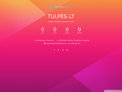 vytauto-puslapiai.lt snapshot