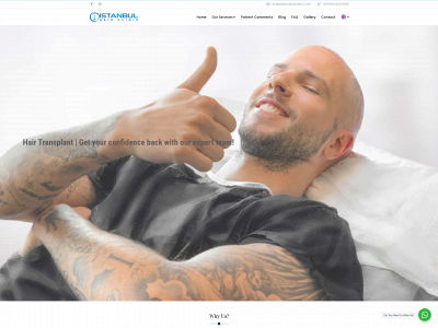 istanbulhairclinic.com snapshot