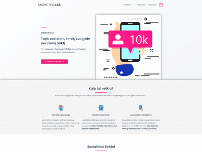 marketinglab.lt snapshot