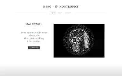 hero-inusa.com snapshot