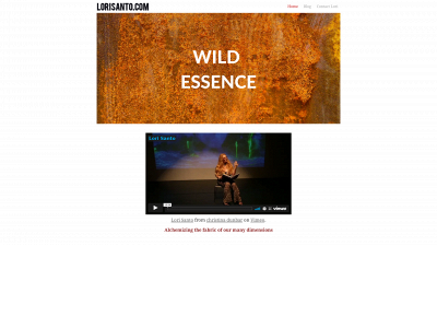 www.lorisanto.com snapshot