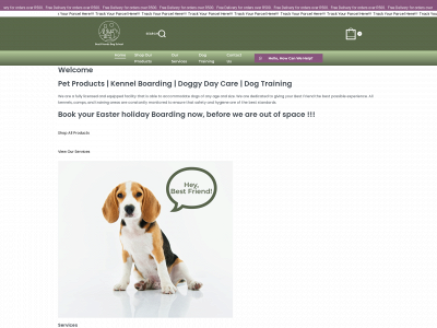 bestfriendsdogschool.com snapshot