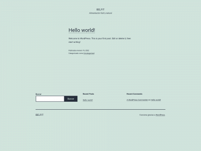 belfit.net snapshot