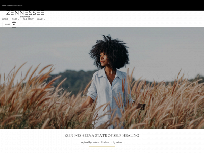 zennessee.com snapshot