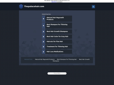 thepalacehair.com snapshot