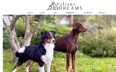 valiantdreams.no snapshot