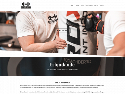 coachderro.se snapshot