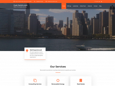 cust-centric.com snapshot