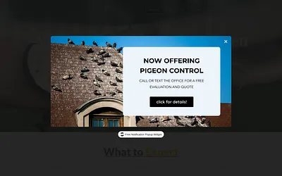 www.richardsonpestmanagement.com snapshot