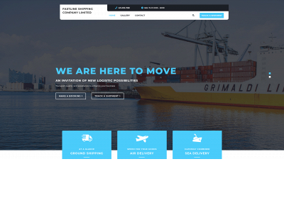 fastlinelogisticscompany.com snapshot