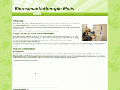 bioresonantietherapiemues.nl snapshot