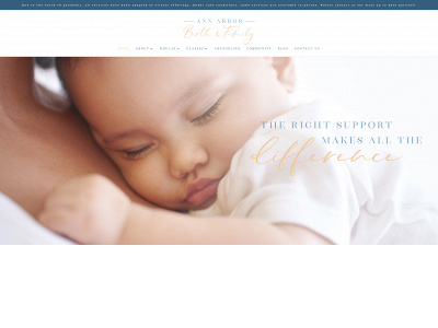 toledofamilydoulas.com snapshot