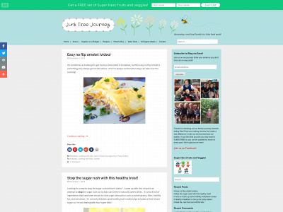 junkfreejourney.com snapshot