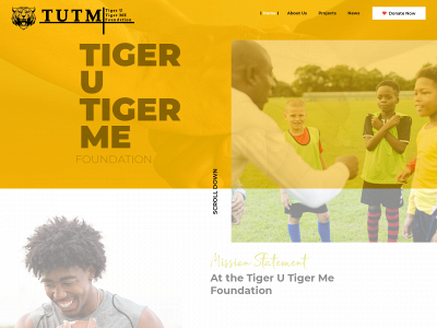 tutmfoundation.com snapshot