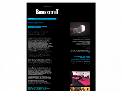 boxinstitut.de snapshot