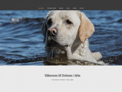 inborns.se snapshot