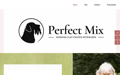 perfectmix.no snapshot