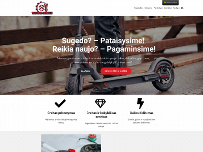 taisomirgaminam.lt snapshot