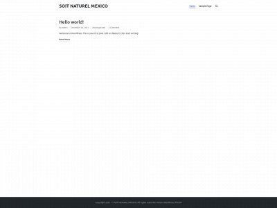 soitnaturel.mx snapshot