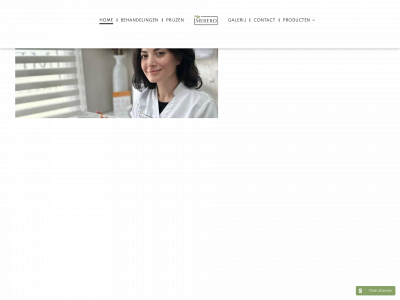 merero.nl snapshot