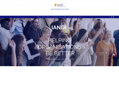 iandibusinesssolutions.co snapshot