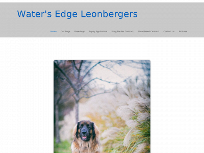 watersedgeleos.com snapshot