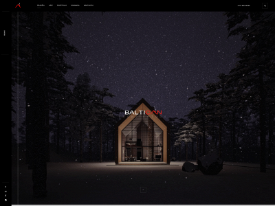baltican.lt snapshot