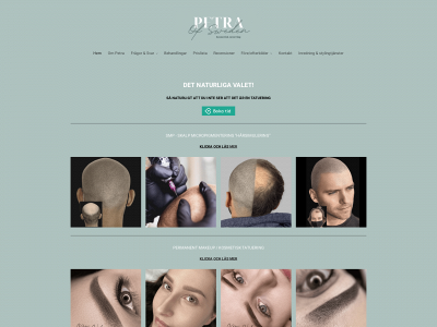 petraofsweden.se snapshot