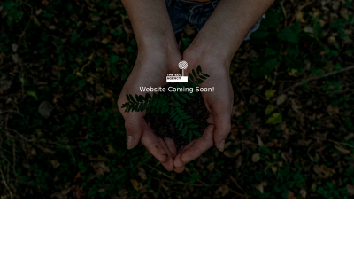 theecoagency.com snapshot